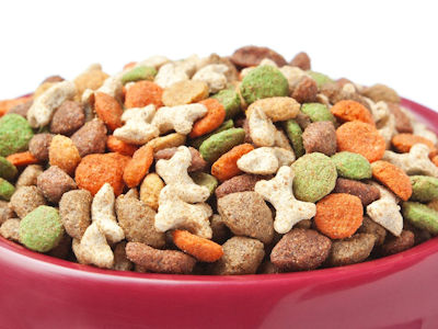 sanitary petfood conveyors