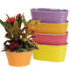 Metal Buckets & Pails