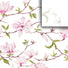 Magnolia - Gift Tissue - 20 x 30"