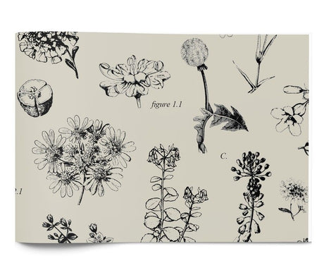 Botanicals - Tissue - Ream - 20 x 30"