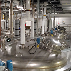  Sanitary and High Purity Process Systems